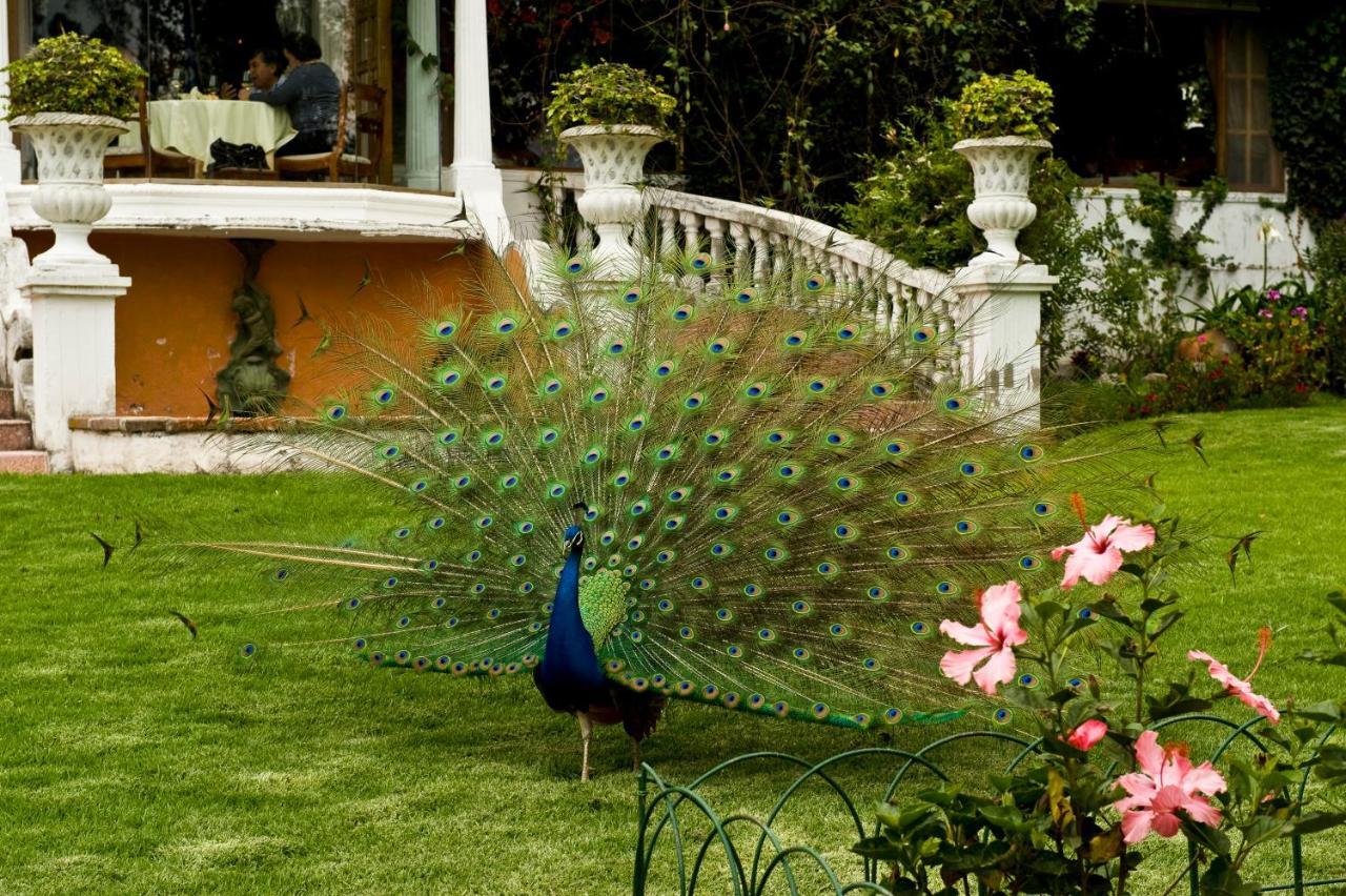 La Mirage Garden Hotel & Spa Cotacachi Zewnętrze zdjęcie